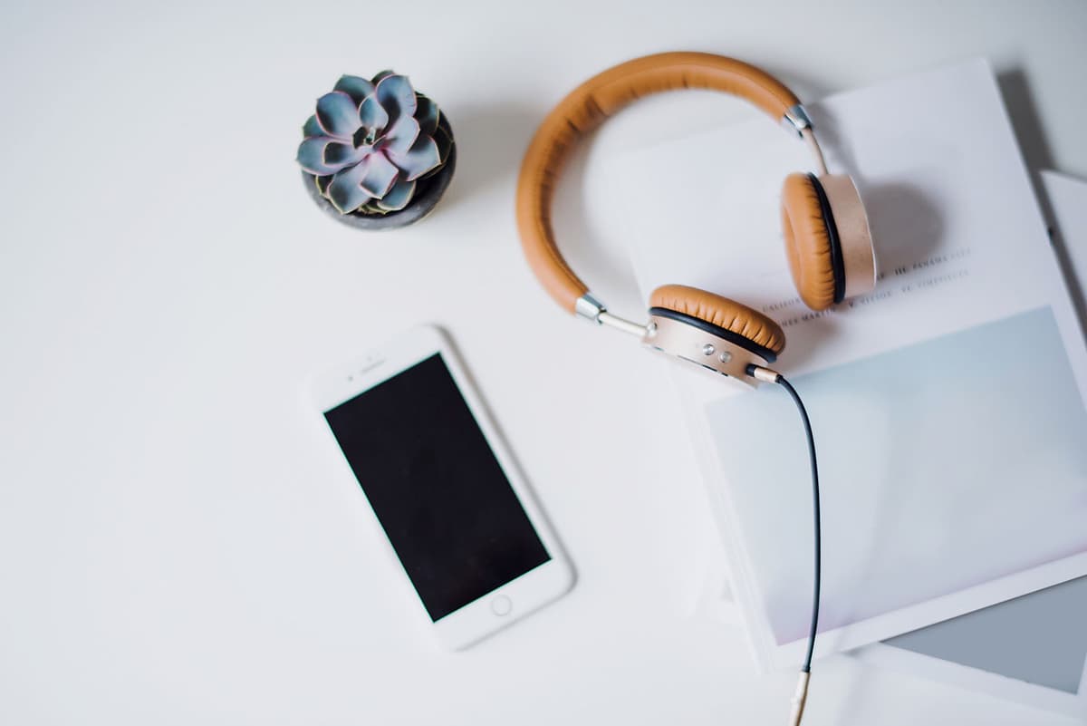 Desarrollo web Tàrrega - Caricalia